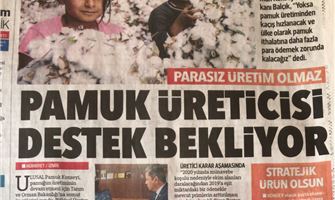 Pamuk Üreticisi Destek Beliyor